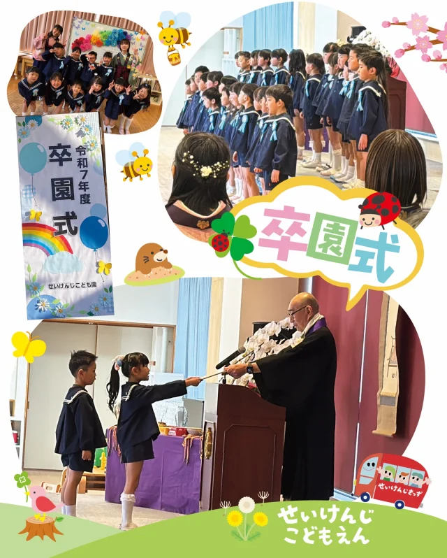 #せいけんじこども園 です🍀
#5歳児 いるか組

小さかったあの日から、こんなに大きくなって…🥹 
毎日の成長が本当に宝物でした💓
卒園おめでとう🌸これからの未来も楽しみだね✨

#せいけんじきっず #香川県 #小豆島