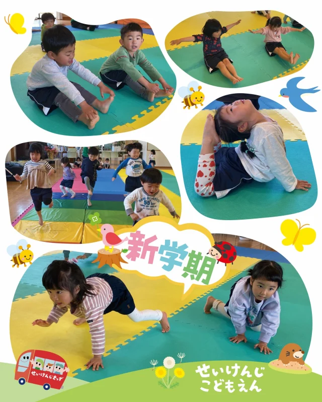 #せいけんじこども園 です☺️
#3歳児 ぞう組

ぞう組🐘待ちに待った体操の時間がスタート🎈✨
あざらしポーズに亀ポーズ、飛行機ポーズなどなど
色々な技をかっこよく決めれるように、日々頑張ってます💪💖

元気いっぱいの体操タイム、これからの成長が楽しみです🌟

#せいけんじきっず #香川県 #小豆島