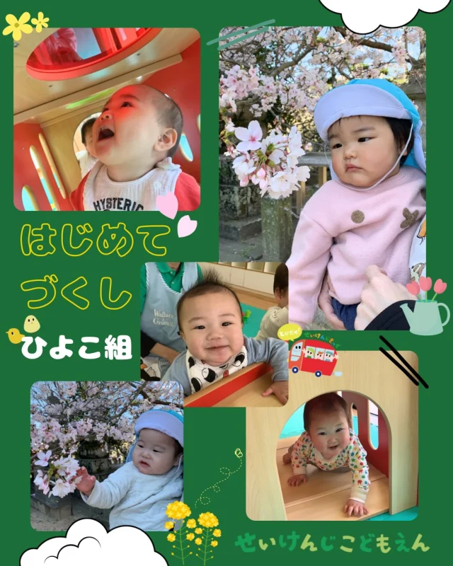 こんにちは😃
#せいけんじこども園 
#0歳児 #ひよこ組 です🐣

入園してから、
“初”のお散歩🌸
“初”の英語🔤
“初”のお部屋遊び😄と、
いろんなはじめての体験をたくさんしている、ひよこ組さん❤️

これからもいろんなことを、みんなで経験していこうね♪

#認定こども園 #小豆島