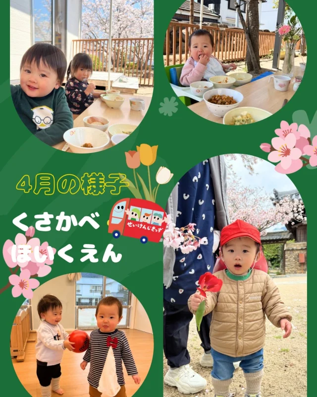 こんにちは♪
#くさかべ保育園 です☺️

桜の木🌸を見ながら、お花見給食を楽しんだり、
チューリップ🌷を探したり、
お部屋で思いっきり遊んだり、
英語を楽しんだりと、
素敵な春の時間を過ごしました☘️

#企業主導型保育園 
#せいけんじきっず #せいけんじきっずと繋がりたい 
#小豆島