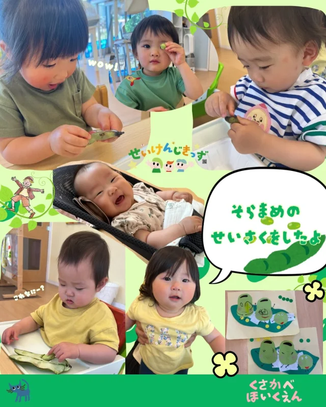 こんにちは♪
#くさかべ保育園 です☆

春の美味しいそら豆🫛で製作をしました！！
実際にそら豆を観察して、
「これなんだろ？」
「こんな形をしてるんだぁ〜」
と、いろんな発見ができました😊

製作ではシールを貼ったり、足型をとったりと
いろんな方法で、いろんなそら豆ができました✨

#企業主導型保育園 #せいけんじきっず #香川県 #小豆島